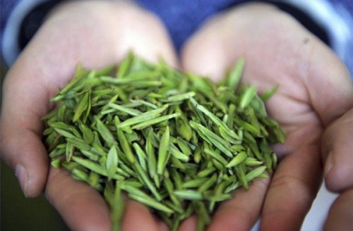 Чай: самые дорогие в мире сорта