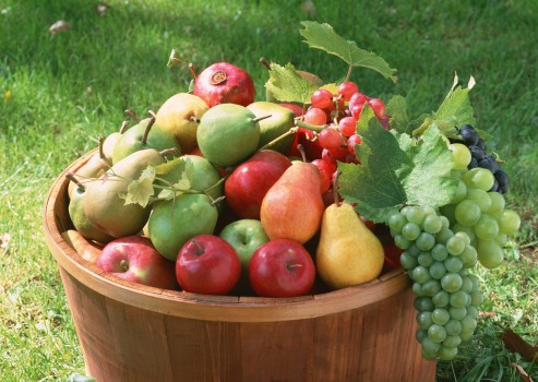 Овощи и фрукты оказались бесполезными для похудения