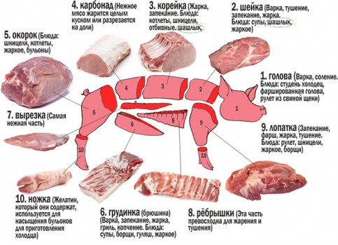 Кулинарное использование частей туши свинины