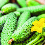 Огурчики малосольные в маринаде — рецепт, который захочется повторить